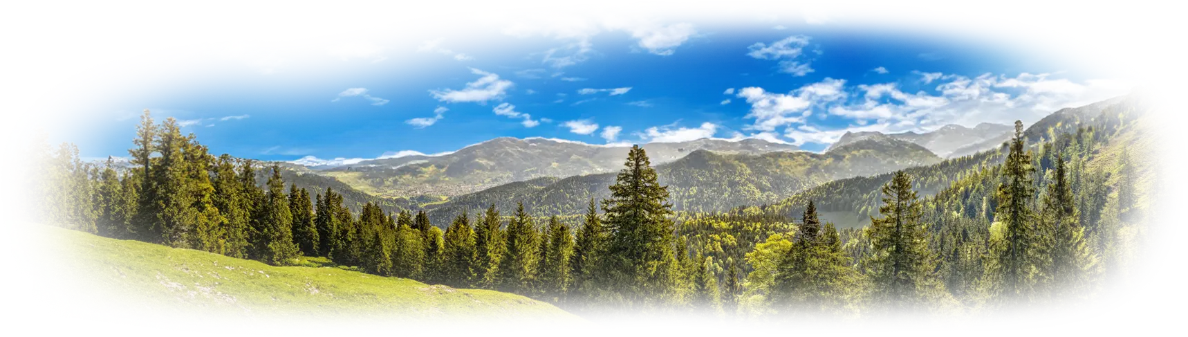 Zlatibor priroda Zlatibor priroda